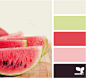 watermelon hues