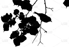 鸟类,支流,食品,壁纸,植物群,复兴时期风格,水果,户外,复古,剪影