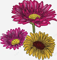 彩色春天小雏菊花束矢量图 免费下载 页面网页 平面电商 创意素材