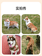 MPETS狗狗牵引绳p绳大型犬p链狗绳子中小型犬柯基防爆冲遛狗链子-tmall.com天猫