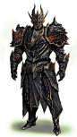 Dragon armor, Kyung Han Kim : Dragon armor