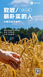 通用中国农民丰收节宣传实景排版手机海报