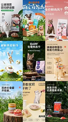 每日欣赏|宠物用品海报 - 小红书