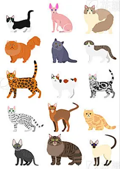 cats breeds set