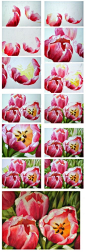 How to paint flowers - Tulips in watercolor by Doris ...  
如何画水彩画的郁金香花-多丽丝