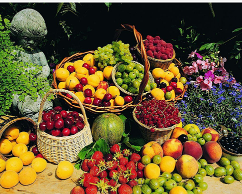 水果内含丰富的维生素，常吃有益健康，可是...
