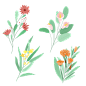 手绘水彩植物花卉元素8