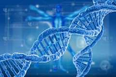 要长脑子了0~O采集到生物医疗