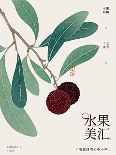 挨骂也要分享的12张商用杨梅插画素材集 - 小红书