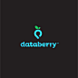 databerry #LOGO#