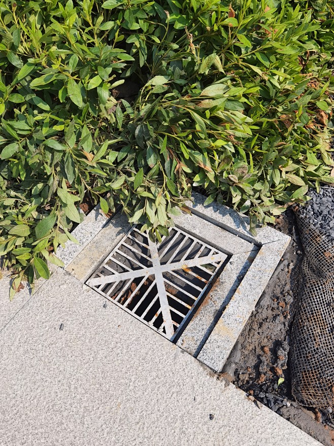雨水口2