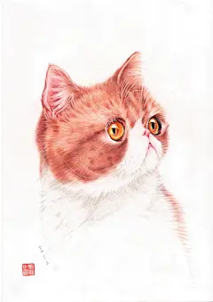 采集自葛mini的LOFTER-彩铅作品
#插画# #加菲猫# #彩铅# #手绘# #原创#