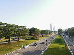 小圭采集到D道路绿带