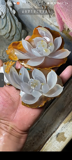 杜鹃小花开采集到挂饰，生活