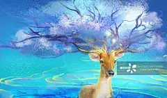 鹿,插画,唯美,错觉,动物正版图片素材
