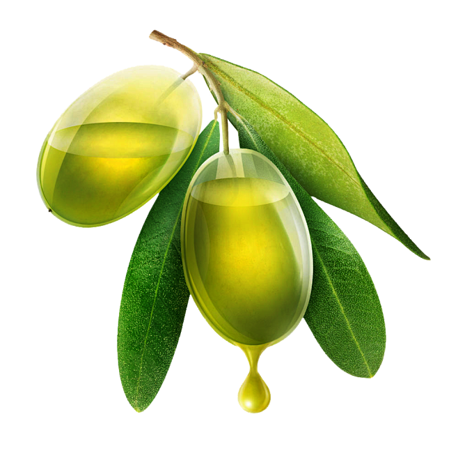 橄榄油  PNG素材