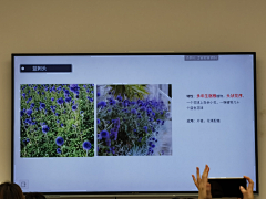 o萌萌o采集到冬季植物
