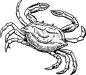 各类黑色剪影镂空动物图案装饰免扣透明PNG AI印刷矢量设计PS素材 (24)