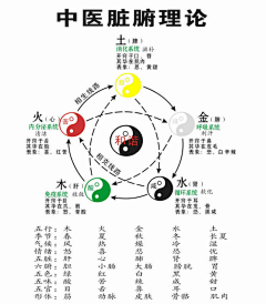 易数透视采集到中医