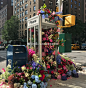 ！今日主题：领客关于纽约开满鲜花的垃圾桶的解读！本期复盘关键词：花展、艺术花展、公共艺术、空间艺术、装置艺术、街区装饰艺术、鲜花网红打卡！