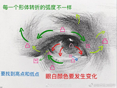 八月的彩虹采集到艺用人体结构学