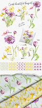 Spring flowers : Set of spring flowers isolated, watercolor illustration. Hand drawn watercolor painting on white background. Botanical composition.