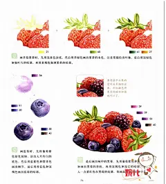 58.彩铅手绘教程美食绘色铅笔食物彩铅画参考临摹素材美食绘画-淘宝网
