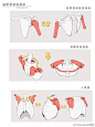 最近一些同学在画二次元光影上遇到了问题 ... 来自tenten云画画 - 微博_结构 _T2022122  _体块_T2022122 