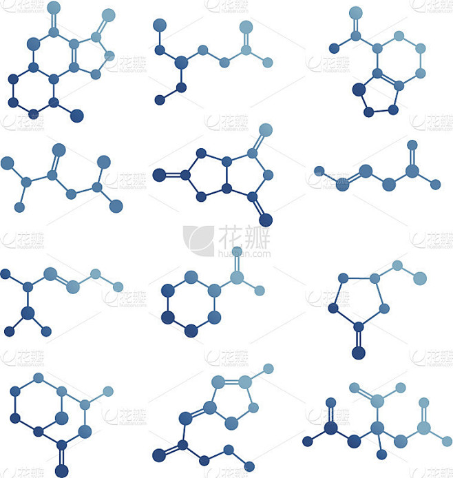 的分子。