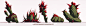 Cactus concepts, Ulysse Verhasselt : Cactus concepts and color variations