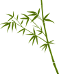 bamboo