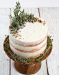 Rosemary Lemon Cake!!!  Three layers of lemon cake filled with lemon curd and rosemary buttercream. It's decorated with fresh rosemary sprigs and crushed candied pecans and dusted with powdered sugar "snow." Best of all, it tastes AMAZING  #reci