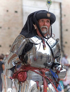 无地自容的装逼份子采集到欧洲中世纪甲胄（局部）