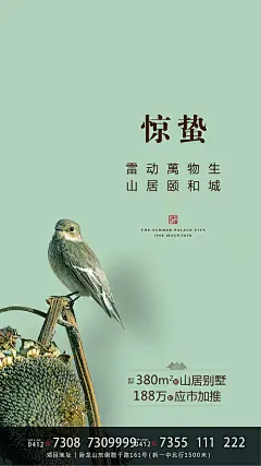 【源文件下载】 海报 二十四节气 房地产 惊蛰 小鸟 万物生长 423621