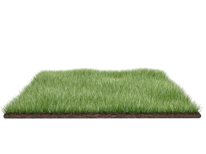 grass field png by d...