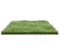 grass field png by dabbex30