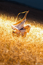 6d9133f4gy1h51xgvwj7uj21zp2zk7wk.jpg (2000×3000)