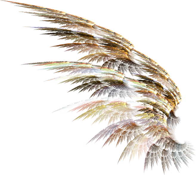 黑白色天使翅膀羽翼png影楼儿童摄影写真后期装饰合成设计ps素材