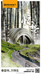 #今日惊蛰# 微雨众卉新，一雷惊蛰始。惊蛰，标志着仲春时节的开始。德国马牌轮胎，见证春风化雨，万物生长。 ​​​​