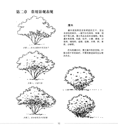 是巨炮叔叔呀采集到景观设计