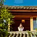采集图片