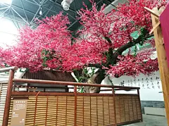 汇客旅游网-鲁西南记忆温泉水世界