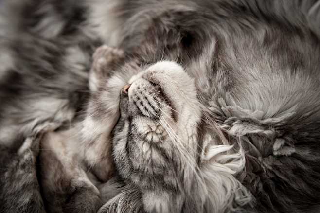 Sleeping Beauty by I...