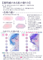 双人人模#Q版#参考#绘画#情侣
#双人#模板#cp#单人#头像#线稿#上色#绘画技巧
（版权归作者所有，侵删）