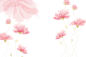 免扣背景PNG素材#粉色花# (658×439)