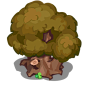 Autumn Tree with a Clover