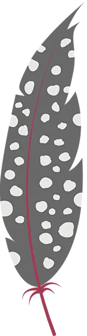 ai文件矢量羽毛羽毛简笔画