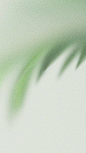 4e6a5e1ed79bd70d877c4203eedf3869aa0dd74017ad3-RSqgPk_fw1200