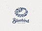 bluebird_3