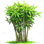 植物通用绿色清新插画竹林元素素材